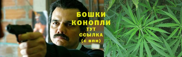 apvp Белокуриха