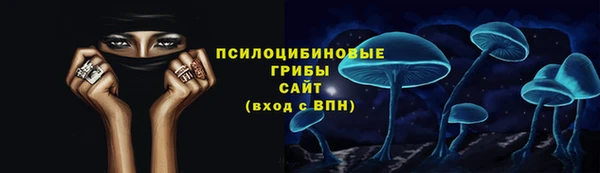 apvp Белокуриха