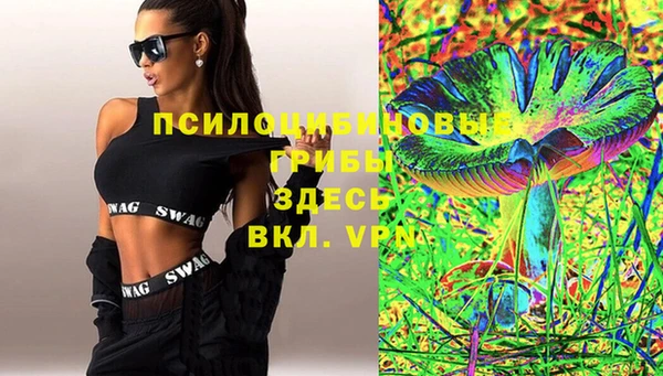 apvp Белокуриха