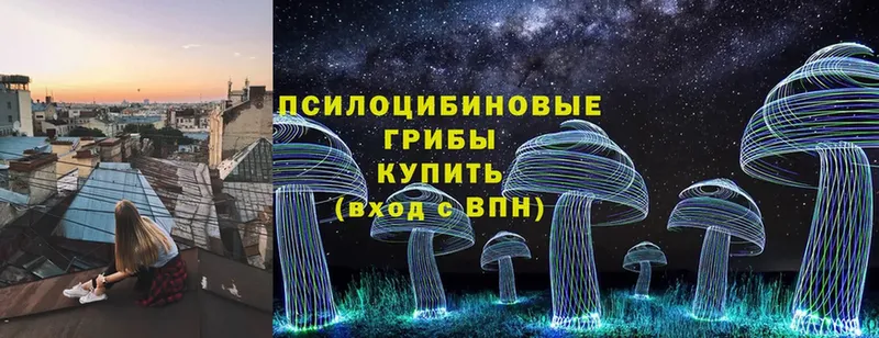 Псилоцибиновые грибы Magic Shrooms  наркота  площадка состав  Гусев  OMG зеркало 