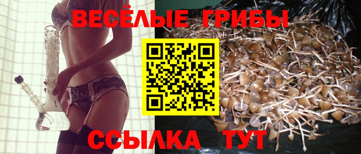 Галлюциногенные грибы Magic Shrooms  Вход с VPN  Гусев 