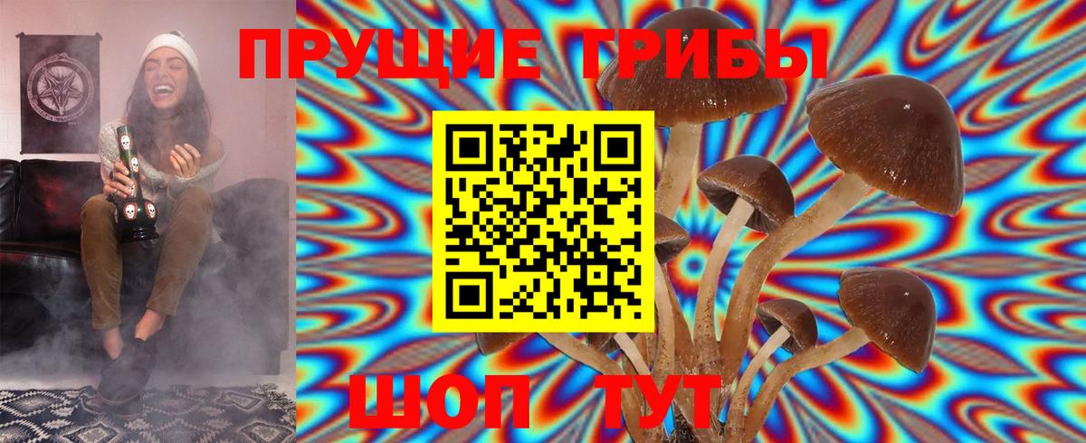 Галлюциногенные грибы Cubensis Гусев