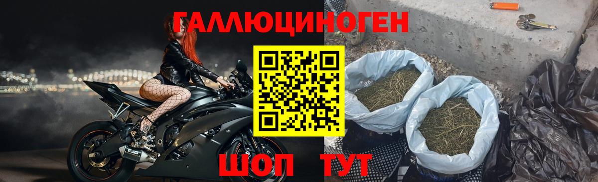 Псилоцибиновые грибы MAGIC MUSHROOMS  Гусев 